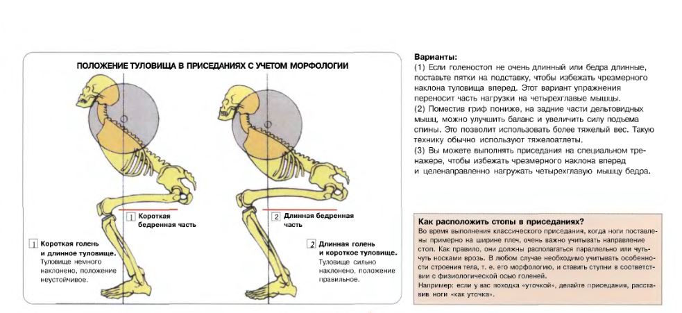 Положение ног и туловища. Упражнения для правильного положения таза. Положение таза при ходьбе. Положение таза при сидении. Правильное положение костей таза.