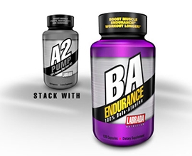 BA-Endurance
