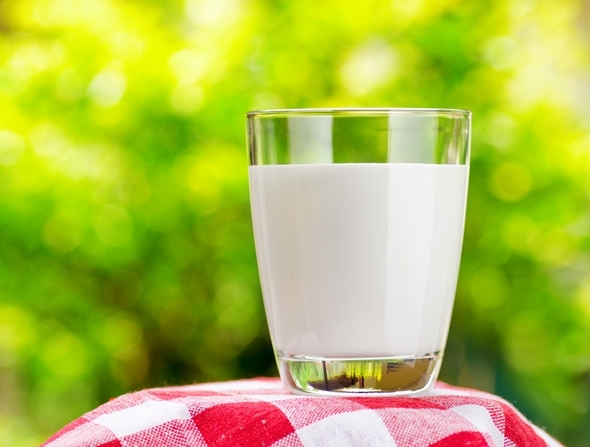 Молоко и йогурты не так полезны, как принято считать